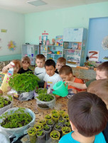 День Земли День Земли.