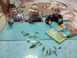 Загляните в мир природы вместе с нами! Загляните в мир природы вместе с нами!.
