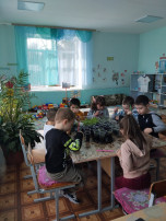 "Посадили мы цветы - вот какие молодцы!!" "Посадили мы цветы - вот какие молодцы!!".