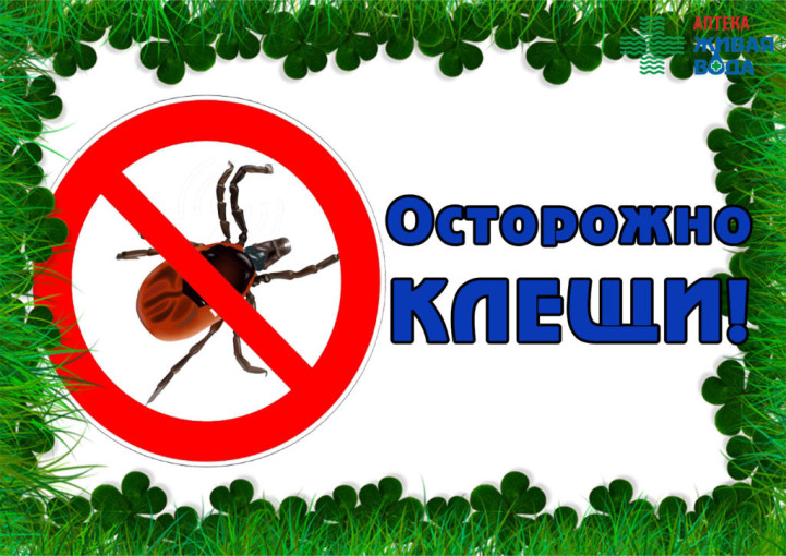 Осторожно клещи! Осторожно клещи!.