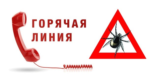 Горячая линия по вопросам профилактики клещевого энцефалита Горячая линия по вопросам профилактики клещевого энцефалита.